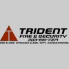 Trident Security Systems