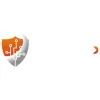 Complex Security Solutions