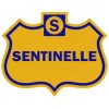 Sentinel Alarm