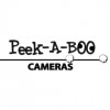 Peekaboo Surveillance